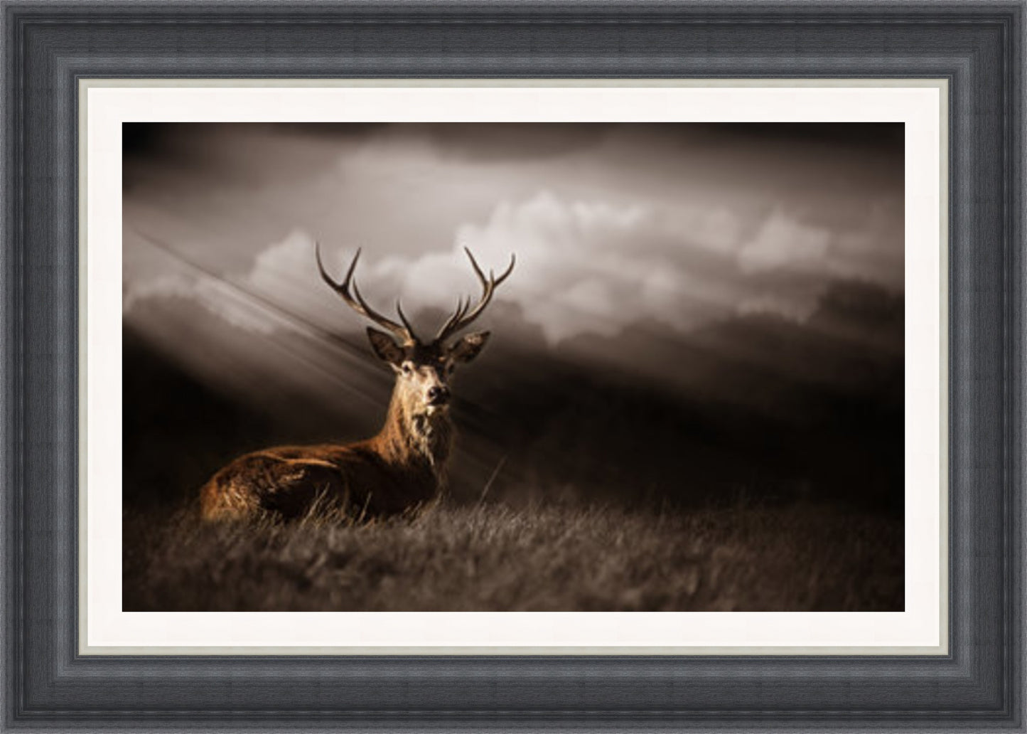 Deer Bathed in Sunrays (Frame: 2218 Grade 2)