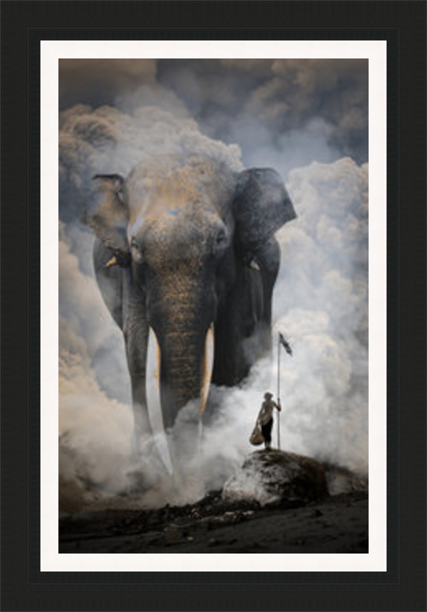 Elephant through the Mist