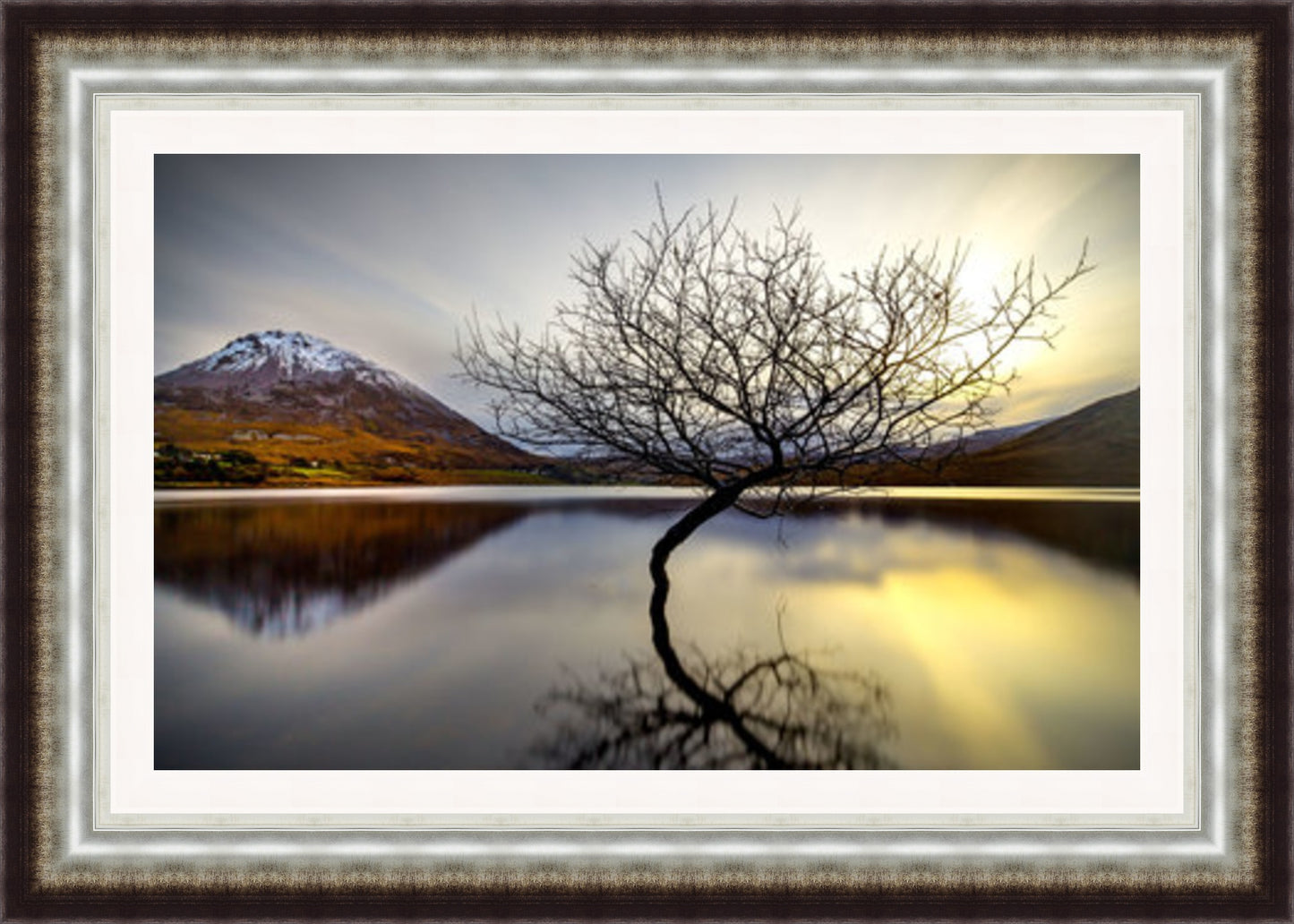 Mount Errigal behind Lone tree in lake (Frame: 2217 Grade 2)