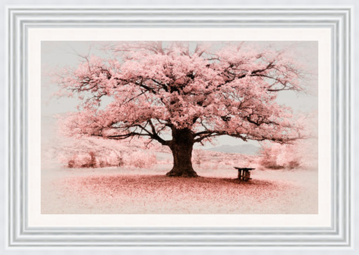 Bench under Pink Tree