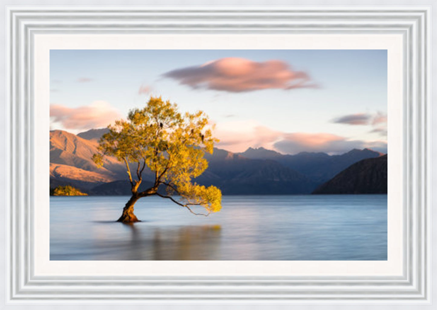 Wanaka Tree Yellow