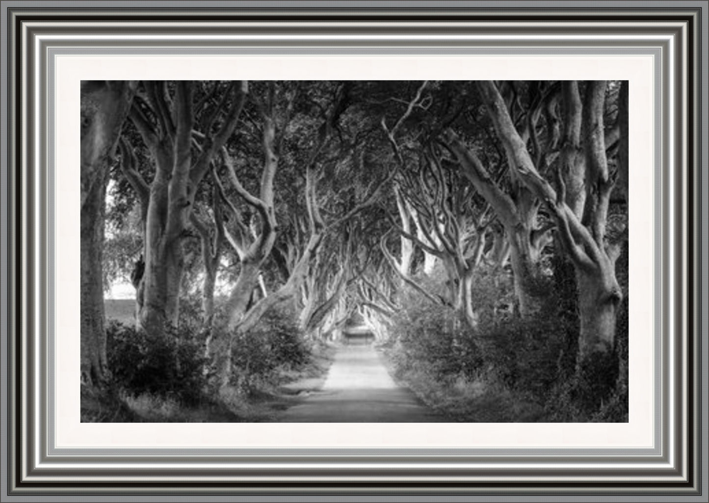 Dark Hedges Black & White