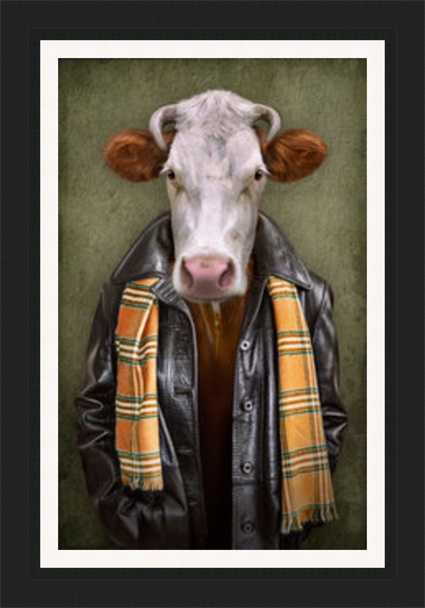 Cow in Leather Jacket