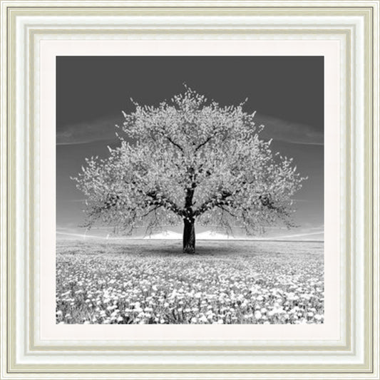 Grey Blossom Tree (Square)