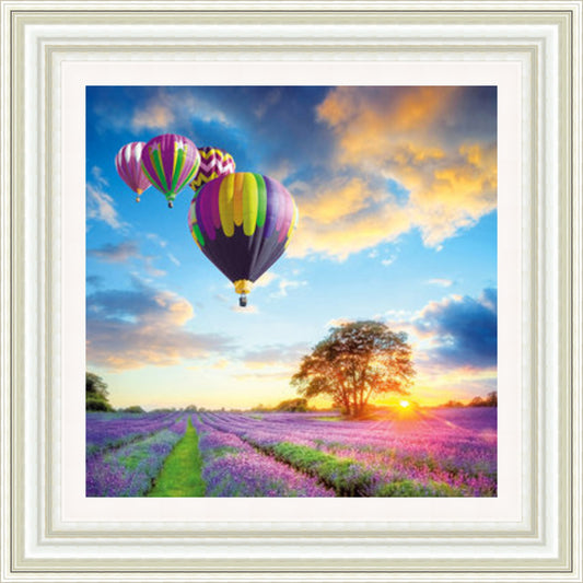 Hot Air Balloons over Field