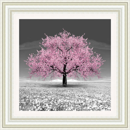 Pink Blossom Tree (Square)