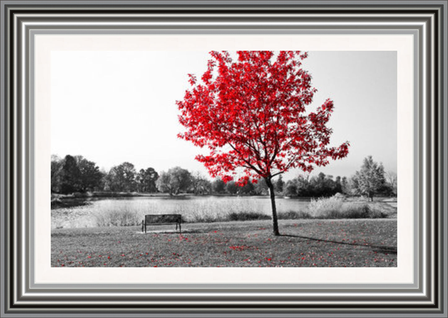 Red Tree over park bench