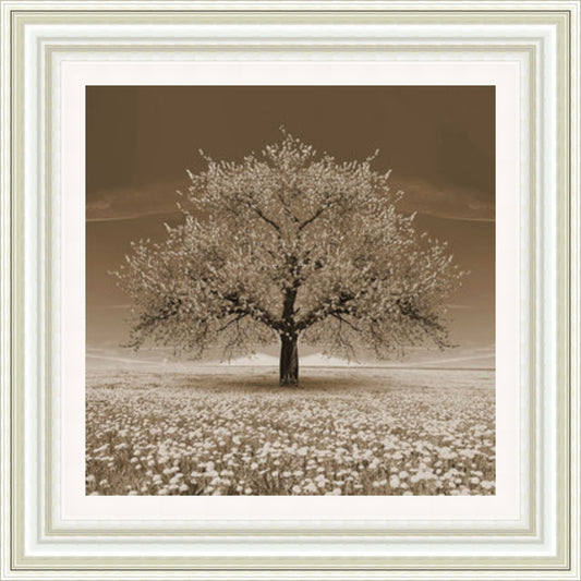 Sepia Blossom Tree (Square)