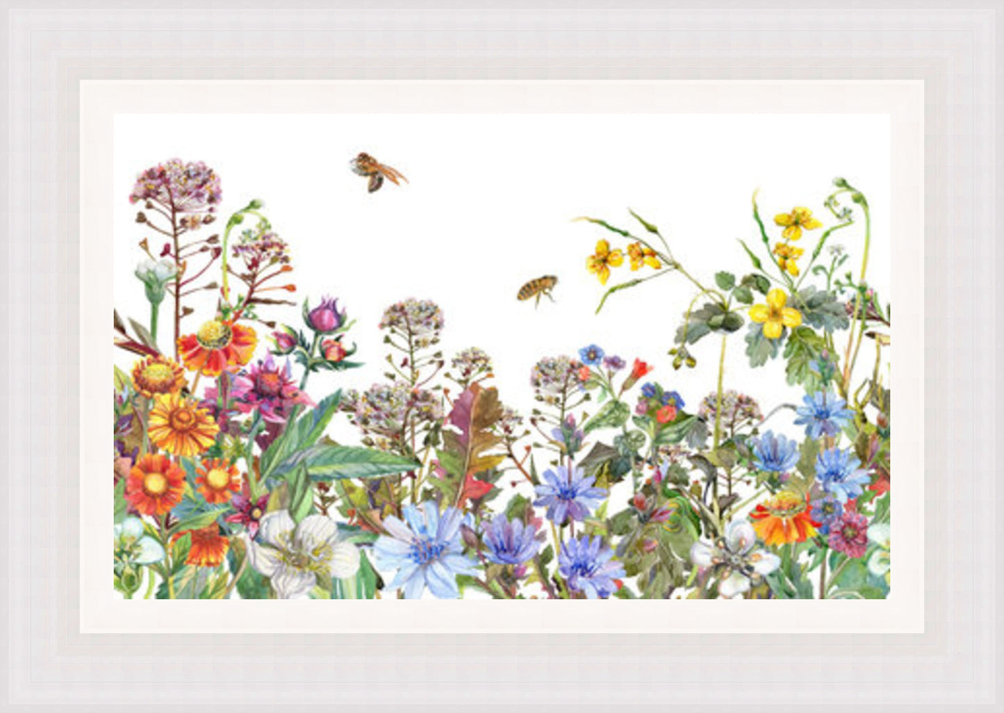 Watercolour Wild Flowers 2