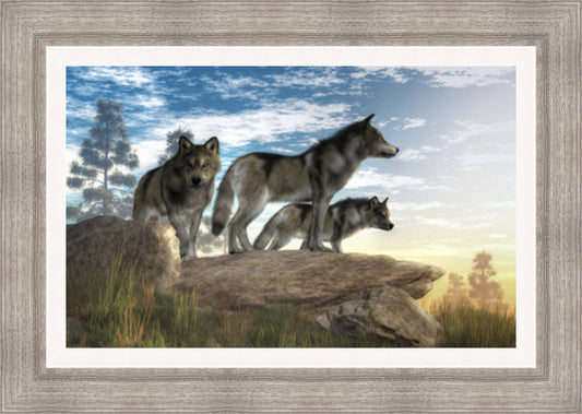Wolves looking over the Wilderness