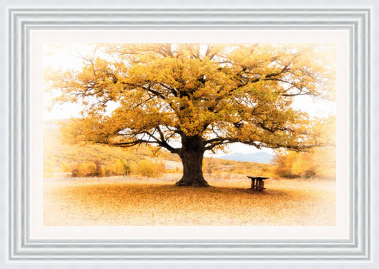 Bench under Yellow Tree