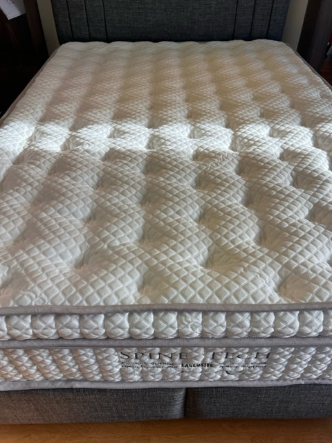 SPINE TECH MATTRESS