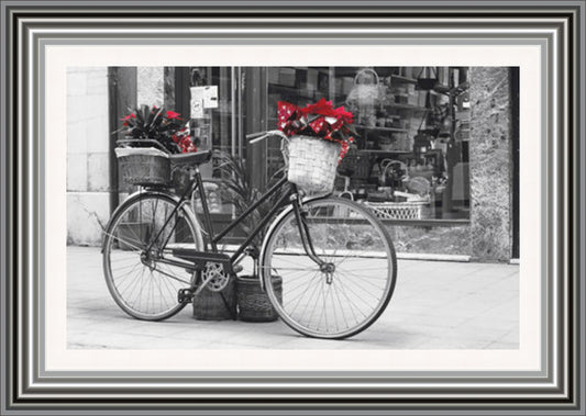 Vintage Bicycle with Flowers (Red)